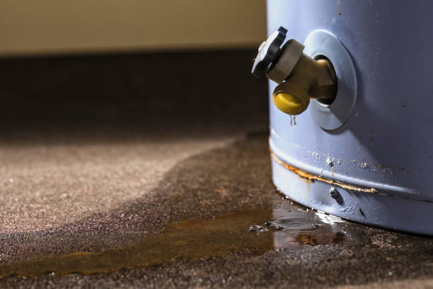 Best Water damage mitigation services  in Stanton, MI