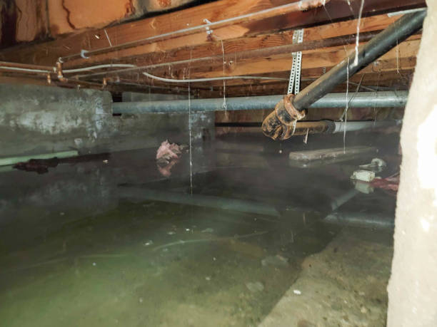  Stanton, MI Water damage restoration Pros