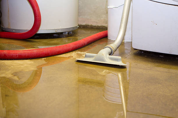 Best Commercial water damage restoration  in Stanton, MI