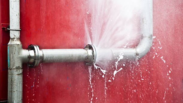Best Water damage contractors near me  in Stanton, MI
